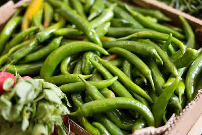 Anaheim, Anaheim Pepper, Anaheim Chili, California Chili, California Green Chile, Magdalena, New Mexico Pepper, Chile Verde