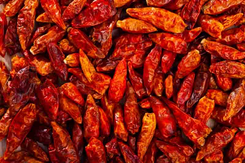 Cayenne, Cayenne Pepper, Guinea Pepper, Bird Pepper, Red Pepper, Cow-horn Pepper, Aleva Pepper, Finger Chili, Capsicum annuum