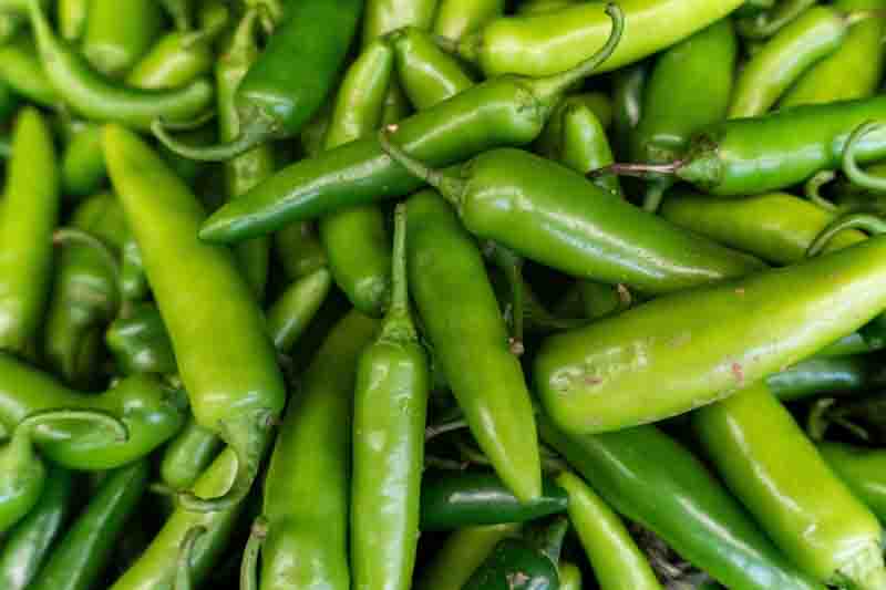 Serrano, Serrano Pepper, Chile Serrano, Capsicum annuum Serrano, Mexican Serrano, Hot Green Pepper