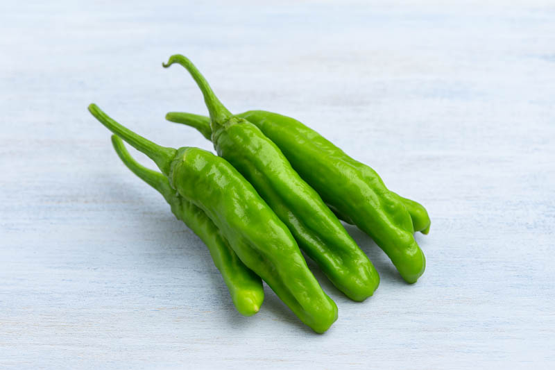Shishito, Shishito Pepper, Shishito Chili, Shishitōgarashi, Japanese Shishito, Capsicum Annuum Shishito