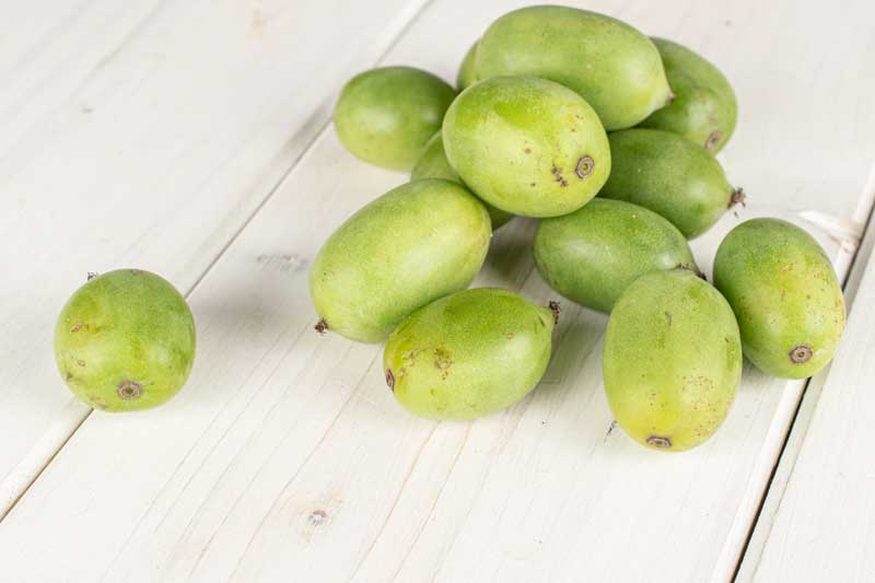 Hardy Kiwi, Kiwi Berries, Kiwiberry, Baby Kiwi, Hardy Kiwi Vine, Actinidia arguta