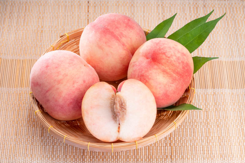 White Peach, Peach, Peaches, Peach Tree, Peach Blossom, Prunus persica