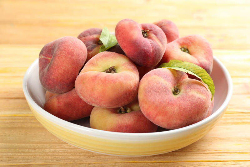 Donut Peach, Peach, Peaches, Peach Tree, Peach Blossom, Prunus persica