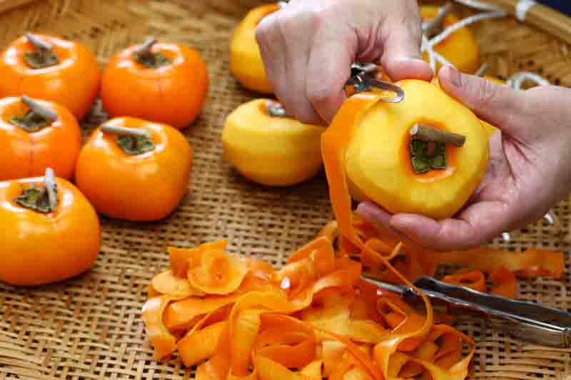 Diospyros kaki, Japanese Persimmon, Oriental Persimmon, Persimmon Fruit, Persimmon Tree, Kaki, Kaki Fruit,