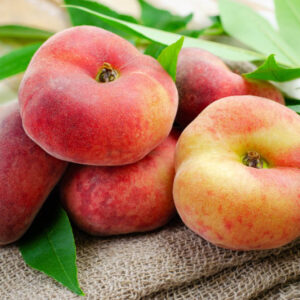 Donut Peach, Saturn Peach, Peach, Peaches, Peach Tree, Peach Blossom, Prunus persica