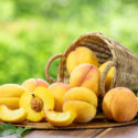 Yellow Peach, Yellow Peaches, Peach, Peaches, Peach Tree, Peach Blossom, Prunus persica