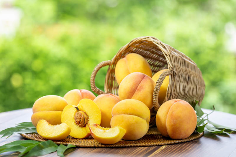 Yellow Peach, Yellow Peaches, Peach, Peaches, Peach Tree, Peach Blossom, Prunus persica