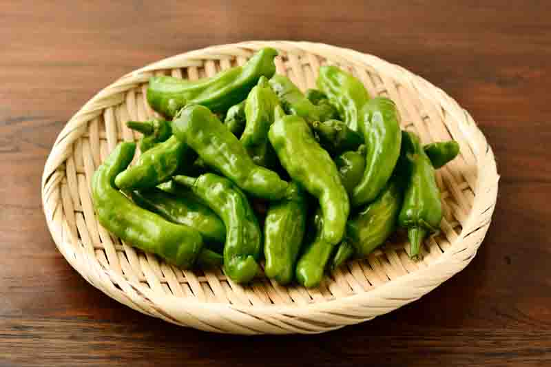 Shishito, Shishito Pepper, Shishito Chili, Shishitōgarashi, Japanese Shishito, Capsicum Annuum Shishito