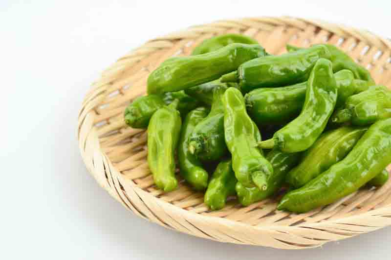 Shishito, Shishito Pepper, Shishito Chili, Shishitōgarashi, Japanese Shishito, Capsicum Annuum Shishito