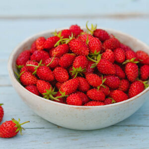 Alexandria Strawberry, Alpine Strawberry, Wild Strawberry, Woodland Strawberry