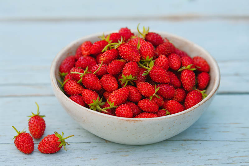 Alexandria Strawberry, Alpine Strawberry, Wild Strawberry, Woodland Strawberry