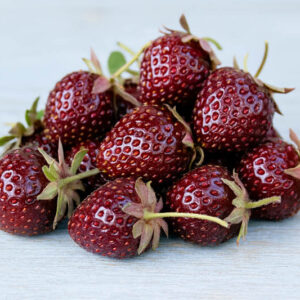Purple Wonder Strawberry, Purple Strawberry, Alpine Strawberry, Wild Strawberry, Woodland Strawberry