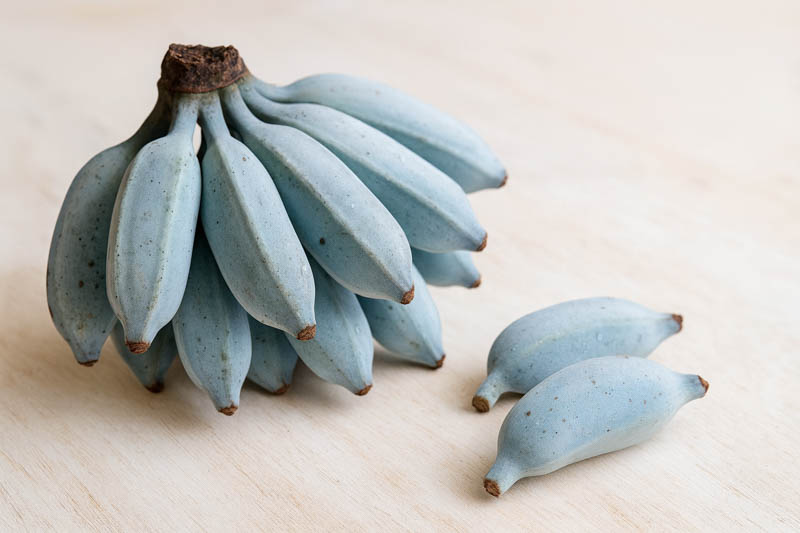 Blue Java banana, Blue banana, Ice Cream banana, Vanilla banana, Hawaiian banana