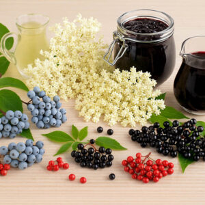 Elderberry types, Sambucus, Elderberry benefits, Elderberry syrup, Elderberry juice