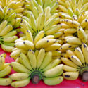 Banana, Banana Harvest, Banana Bunch, dessert banana, Banana Tree