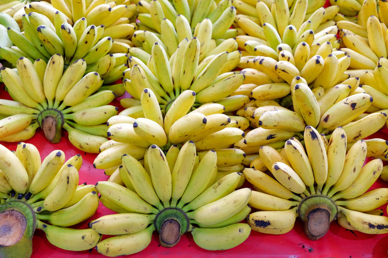 Banana, Banana Harvest, Banana Bunch, dessert banana, Banana Tree