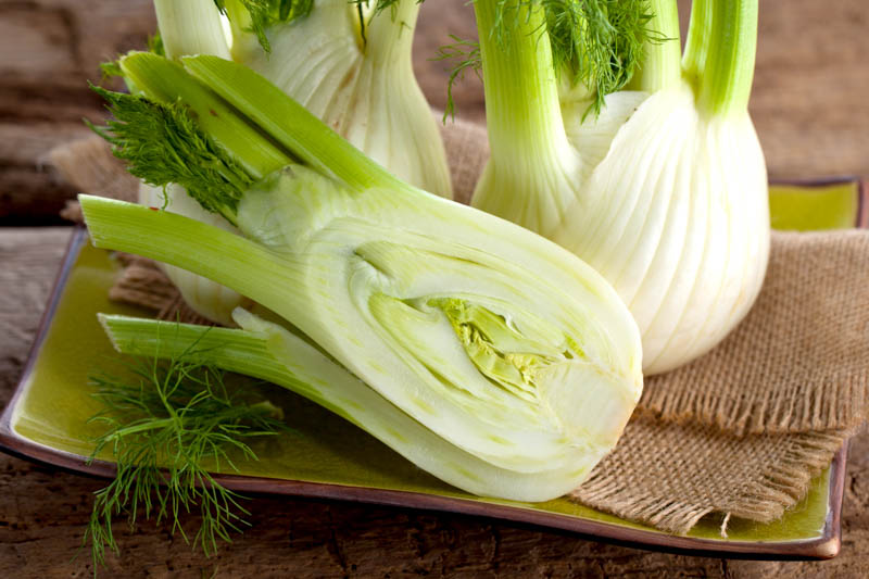 Fennel Bulb, Fennel, Fennel Recipes, Fennel Salad, Foeniculum vulgare var. azoricum