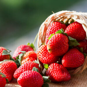 Strawberry, Strawberries, Strawberry plant, Fragaria x anassa