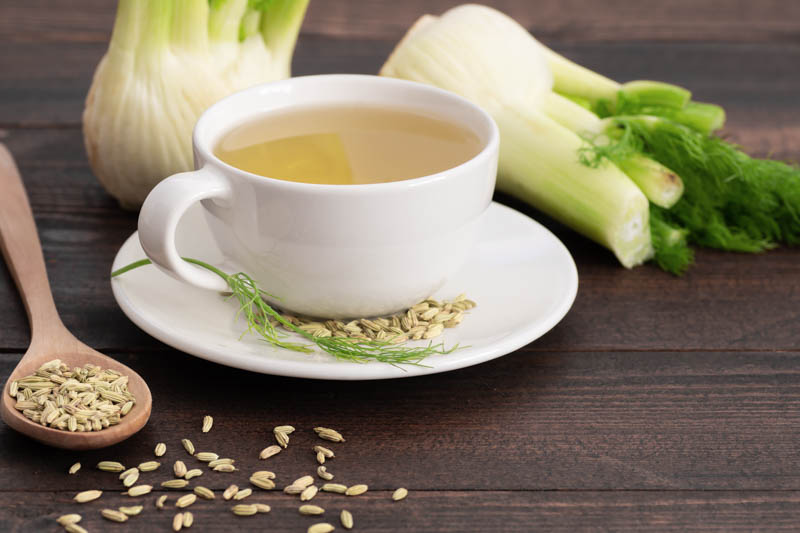 Fennel Bulb, Fennel, Fennel Recipes, Fennel Salad, Foeniculum vulgare var. azoricum