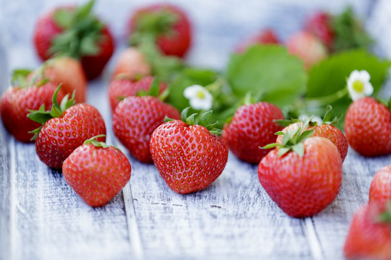 Strawberry, Strawberries, Strawberry plant, Fragaria x anassa