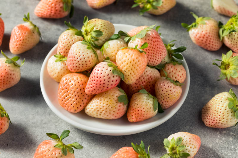 Pineberry, Pineberries, White Strawberries, Fragaria x ananassa