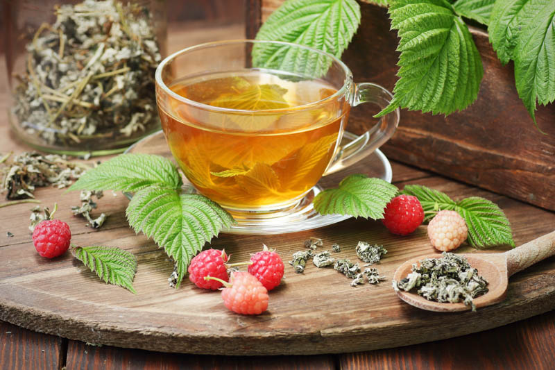 Raspberry Leaf Tea, Raspberry Tea, Raspberry, Raspberries, Raspberry Bush, Raspberry tea, Rubus idaeus