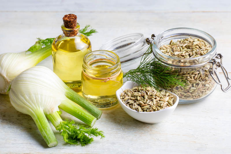 Fennel Bulb, Fennel, Fennel Recipes, Fennel Salad, Foeniculum vulgare var. azoricum
