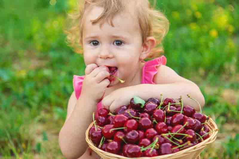 The child eats cherries in the garden. Selective focus. Food.