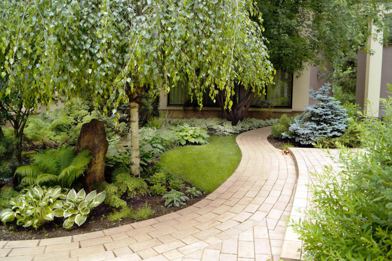 Shade plants, shade garden, shade loving plants, full shade plants, plants that grow in shade, perennial plants and flowers for shade, shade garden plants