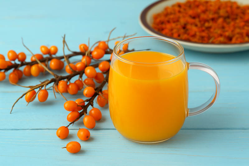 Sea Buckthorn, Seaberry, Sandthorn, Sallowthorn, Siberian Pineapple, Sea Berry, Swallowthorn, Hippophae rhamnoides