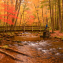 Tennessee Landscape