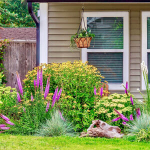 Pollinator Garden with liatris, rudbeckia, sedum and grasses