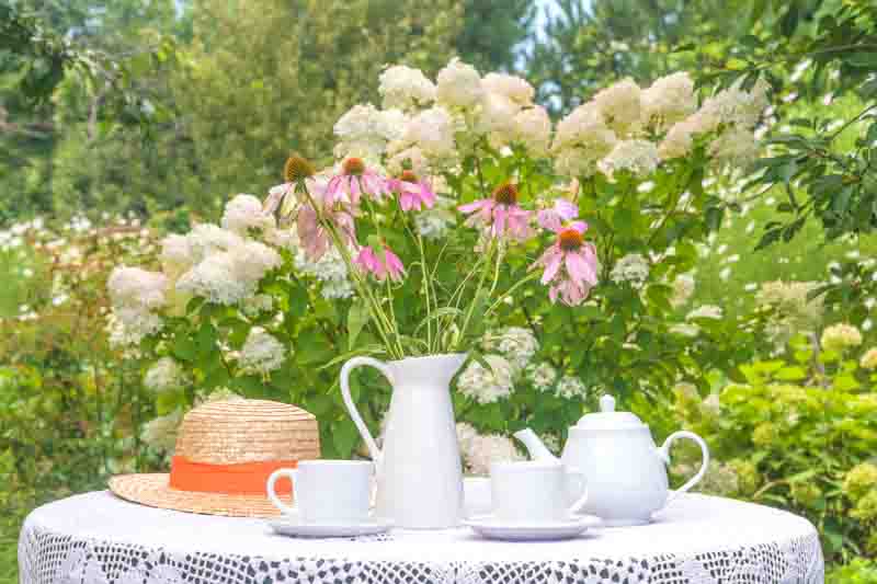 Summer breakfast in a blooming garden. bouquet of pink echinacea flowers on a table in a blooming hydrangea garden