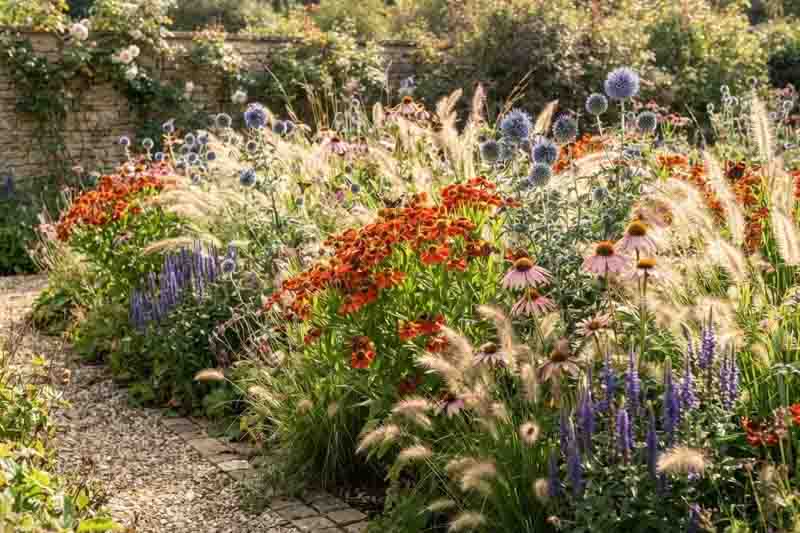 Summer garden design idea with helenium, echinops, echinacea