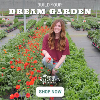 Great Garden Plants Banner